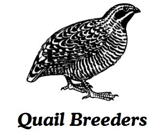 Quail breeders